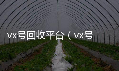vx号回收平台（24小时vx回收平台vx号回收平台联系方式查询）